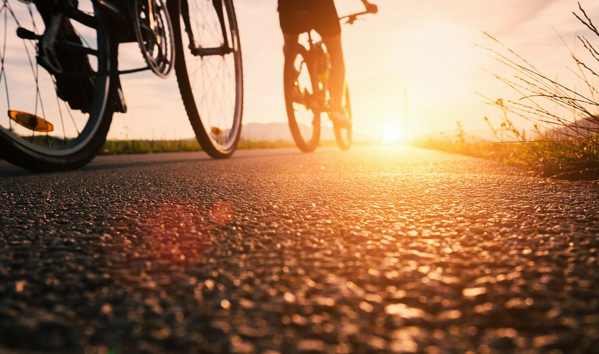 Disponemos de 21 rutas seleccionadas de carretera, cicloturismo o BTT para todos los niveles.