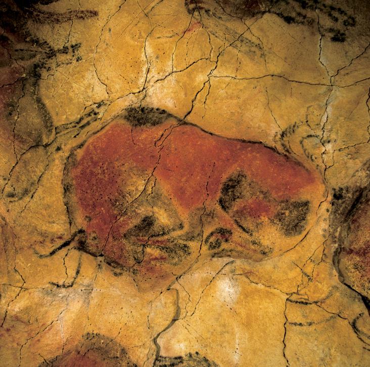 El bisonte encogido es una de las figuras más reconocidas de la Cueva. Destaca por su enorme expresividad y la excelente reproducción anatómica. (Foto: Turismo de Cantabria, turismodecantabria.com)