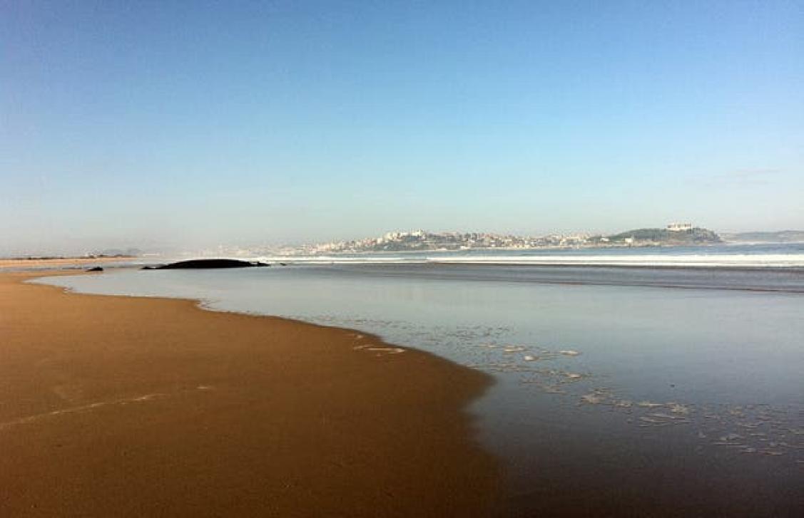 Navidad en PLEA Beach House