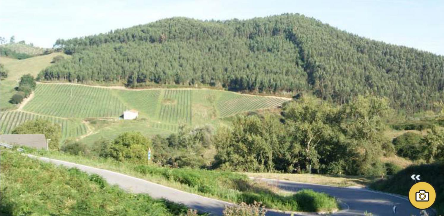 Ruta Bicicleta Carretera Nº19: Ajo - Meruelo - Güemes - Villaverde de Pontones - Suesa