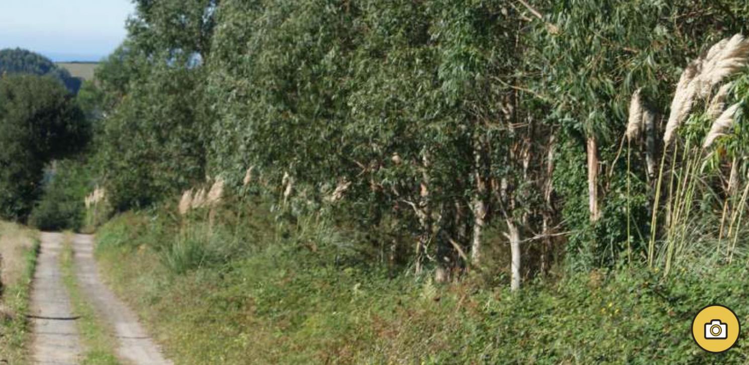 Ruta Bicicleta Montaña Nº3: Suesa - Cubas - Pontones - Carriazo - Güemes - Cucabrera
