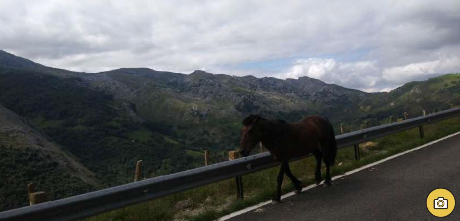 Road Route Nº9: Alisas - Cruz de Usaño - Fuente las Varas